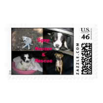 Spay Neuter Rescue Postage Stamps