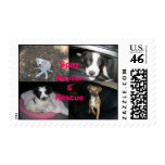 Spay Neuter Rescue Postage Stamps