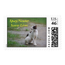 SPAY/NEUTER SAVES LIVES USPS FIRST-CLASS STAMP by colts1673 SPAY/NEUTER SAVES LIVES USPS FIRST-CLASS STAMP