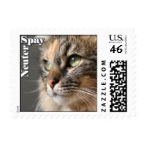 Spay / Neuter  - Small postage