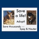 Spay & Neuter Yard Sign yard signs