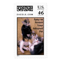 Spay or Neuter Your Adopted Pet postage
