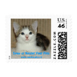 Spay or Neuter Your Pets 4 Postage Stamp