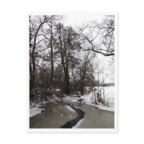 Spaziergang an der Wümme postkarten