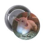 Speak Kindly Doeling Button buttons