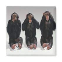 Speak No See No Hear No Evil Monkeys Magnet