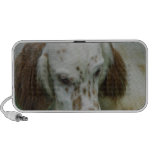 Speaker - Customized