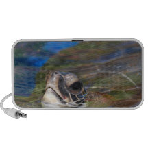 Speaker - Customized