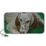 Speaker - Customized