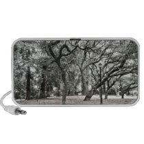 Speaker - Serene Woods on Campus