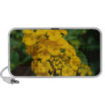 speaker with picture of Yellow Lantana