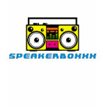 speakerboxxx ladies hoodie