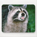 Speaking Raccoon Mousepad by nedell Speaking Raccoon Mousepad