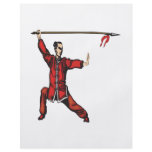 Spear Fighter flyers