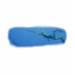 SpearFishing by FishTs.com