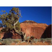 Spearhead Mesa At Monument Valley photo sculptures