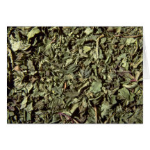 Spearmint leaves cards