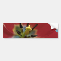 Spears And Arrows Bumper Sticker