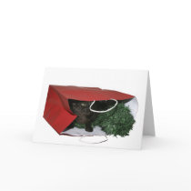 Special Christmas gift Cards