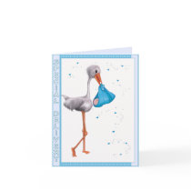 Special Delivery - Boy cards by MANolan Special Delivery - Boy cards
