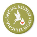 Special Delivery From Ethiopia Magnets magnet