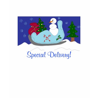 Special Delivery! -t -shirt by seashell2