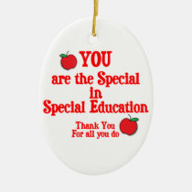Special Education Appreciation ornaments
