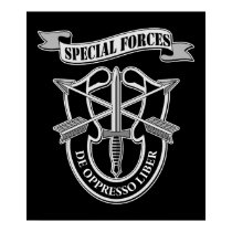 Special Forces posters