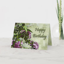 Birthday Wishes Greeting Cards, Note Cards and Christia