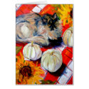 special Harvest cards by DocWyatt special Harvest cards