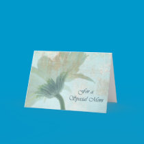 Special Mom ~ Mother's Day Card cards
