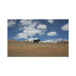 Special photography on canvas stretched canvas print