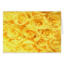 Special Yellow Roses Greeting Cards
