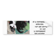 Species vs. Religion bumper stickers