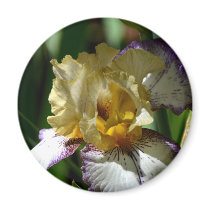 Speckled Iris magnets