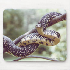 Speckled King Snake Mousepad mousepad