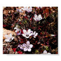 Speckled Purples posters by Katharsis Speckled Purples posters