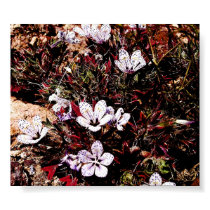 Speckled Purples posters
