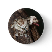 Speckled staffrog buttons