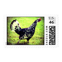 Speckled Strut Stamps