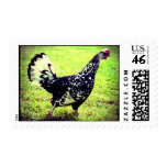 Speckled Strut postage