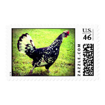 Speckled Strut Stamps