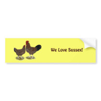 Speckled Sussex Chickens Bumper Sticker