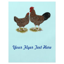 Speckled Sussex Chickens Flyer