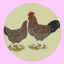 Speckled Sussex Chickens stickers