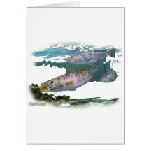 Speckled Trout Feeding Card