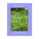 Speckled Wood Butterfly on the Verge Postcards