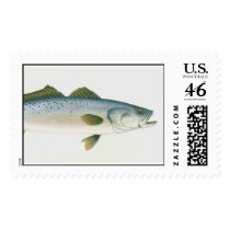 speckledtrout postage