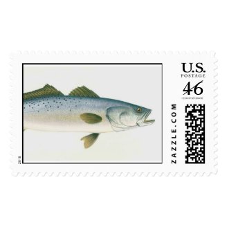 speckledtrout postage stamp