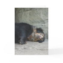 "Spectacled Bear 1" Greeting Card